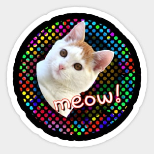 Disco Cat Sticker
